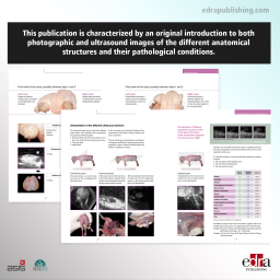 Reproduction and ultrasound examination in cattle. A new perspective on the oestrous cycle - Veterinary Book