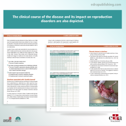 Q Fever. An Emerging Disease - Veterinary Book - Fever - Raphael Guatteo - 9788494138928