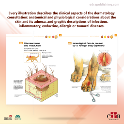 Pet Owner Educational Atlas. Dermatology - Veterinary book - Cover book - Pet Owner - Carmen Lorente - 9788494101472