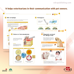 Pet Owner Educational Atlas. Diagnosis in Dermatology - Veterinary book - cover book - Carmen Lorente Méndez
