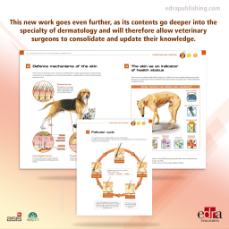 Pet Owner Educational Atlas. Diagnosis in Dermatology - Dermatology - Veterinary book - Carmen Lorente Méndez - 9788416315482