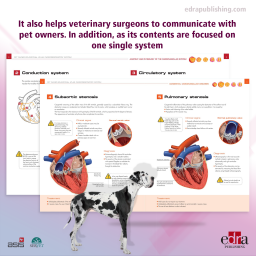 Pet Owner Educational Atlas. Cardiorespiratory System - Veterinary book - cover book