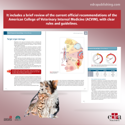 Blood Pressure in Cats and Dogs. A Clinical Manual - Veterinary book - cover book - Enrique Ynaraja Ramirez