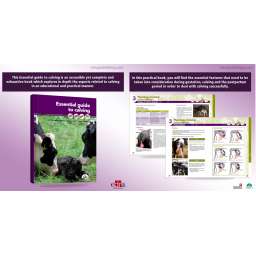 Essential Guide to Calving - Veterinary book - cover book - 9788494040238