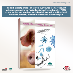 Swine respiratory disease