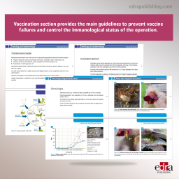 Newcastle Disease. Main challenges in poultry farming - Veterinary book - cover book - Kang-Seuk Choi