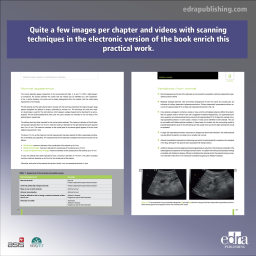Practical Small Animal Ultrasonography -  Abdomen - 9788416315451 - Veterinary Book