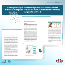 Behavioural Changes Associated with Pain in Companion Animals - Veterinary book - cover book -
