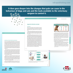 Behavioural Changes Associated with Pain in Companion Animals - Veterinary book - cover book -Tomàs Camps Morey