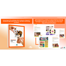 Canine and Feline Dermatology Atlas - book details - veterinary book - Gustavo Machicote
