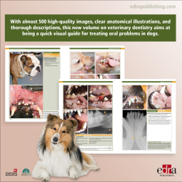 Visual Atlas of Oral Pathologies in Dogs - Book extract - veterinary book