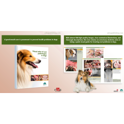 Visual Atlas of Oral Pathologies in Dogs - Book details - veterinary book