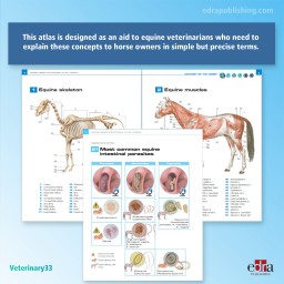 Horses - book extract - Veterinary book - 9788417640118