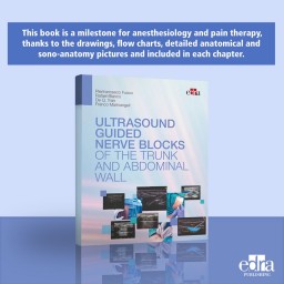 Ultrasound-guided nerve blocks of the trunk and abdominal wall - Medicine book - cover book - 9788821454899