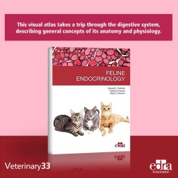 Feline endocrinology - Feldman Peterson Fracassi - Book Cover - Veterinary Book
