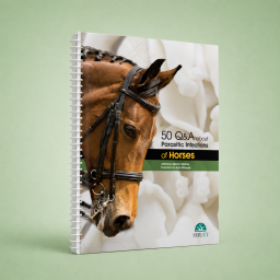 50 Q&A about Parasitic Infections of Horses - veterinary book - 9788417225827
