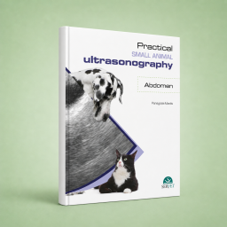 Practical Small Animal Ultrasonography -  Abdomen - 9788416315451 - Veterinary Book