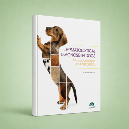 Dermatologic Diagnosis in Dogs. An Approach Based on Clinical Patterns - 9788417225353 - veterinary book