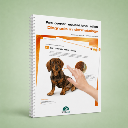 Pet Owner Educational Atlas. Diagnosis in Dermatology - Dermatology - Veterinary book - Carmen Lorente Méndez - 9788416315482