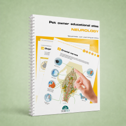 Pet Owner Educational Atlas. Neurology - Veterinary book - cover book - Juan José Mínguez Molina - 9788417225841
