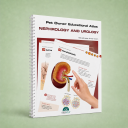 Pet owner educational atlas. Nephrology and Urology - Book Cover - Veterinary Book - Shelly Vaden - 9788417640231