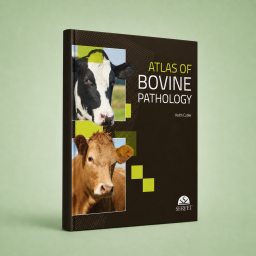 Atlas of Bovine Pathology - Veterinary book - cover book - Keith Cutler - 9788416818525