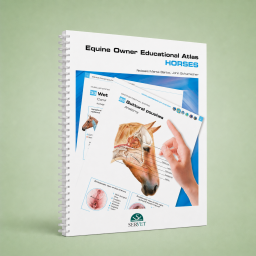 Equine owner educational atlas.
Horses - cover book - Veterinary book - 9788417640118