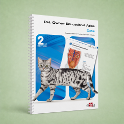 Pet Owner Educational Atlas. Cats - 2nd Edition - Veterinary book - cover book - 9788418498268