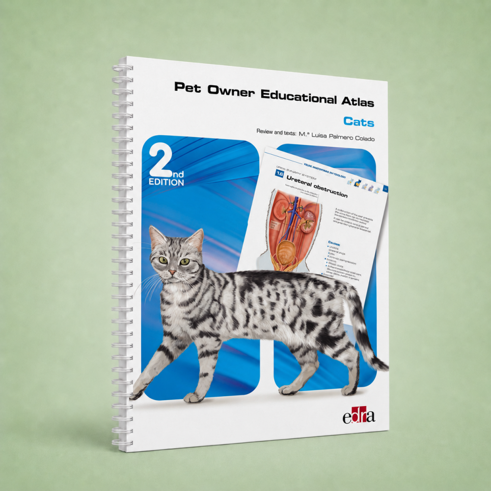Pet Owner Educational Atlas. Cats - 2nd Edition - Veterinary book - cover book - 9788418498268