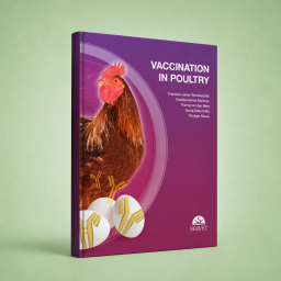 Vaccination in poultry - Dentistry Book - VACCINATION AGAINST VIRAL DISEASES - Poultry - 9788494297656