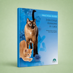Infectious Diseases in...