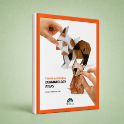 Canine and Feline Dermatology Atlas - cover book - veterinary book - Gustavo Machicote - 9788494244957