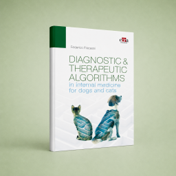 Diagnostic & therapeutic...