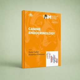 Canine Endocrinology
