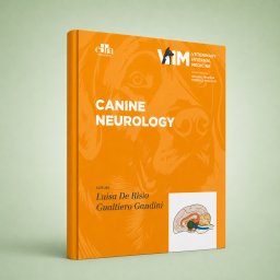 Canine Neurology