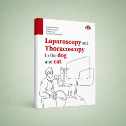 Laparoscopy and...