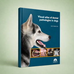 Visual Atlas of Dental...