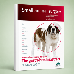The Gastrointestinal Tract....