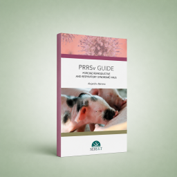 PRRSv guide. Porcine...