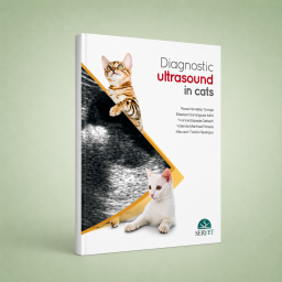 Diagnostic Ultrasound in Cats