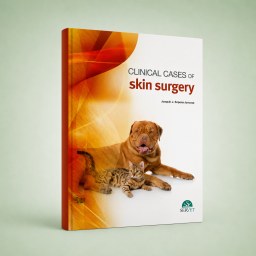 Clinical Cases of skin surgery