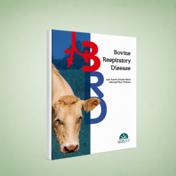 Bovine respiratory disease
