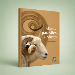 Atlas of Parasites in Sheep