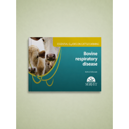 Bovine Respiratory Disease....