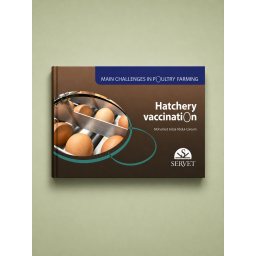 Hatchery Vaccination. Main...