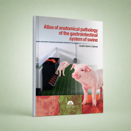 Atlas of anatomical...