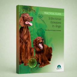 Infectious diseases in...