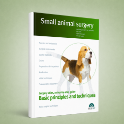 Basic principles and...