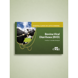 Bovine viral diarrhoea...