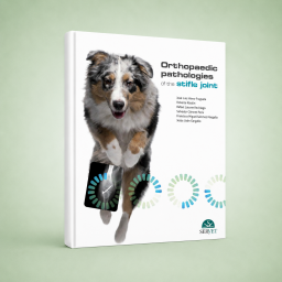 Orthopaedic pathologies of...